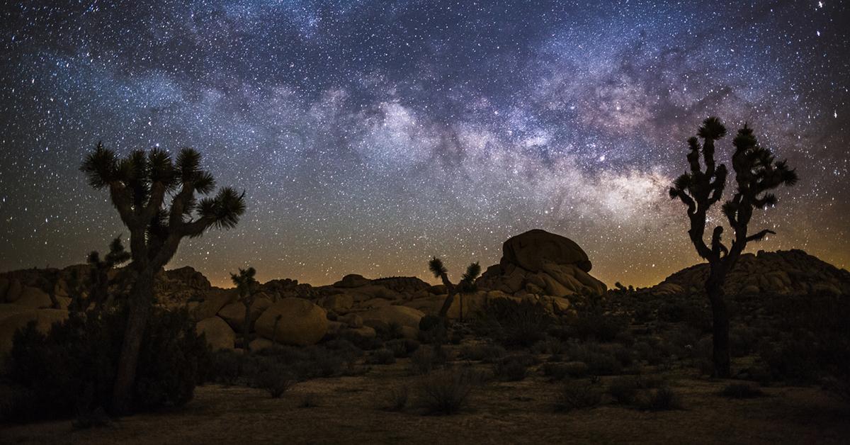 joshua tree national park