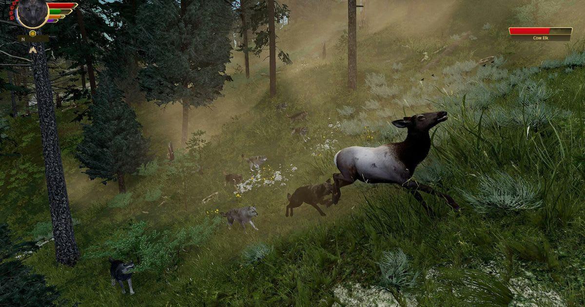 pn/aeecfd b b fdd cdfbadec