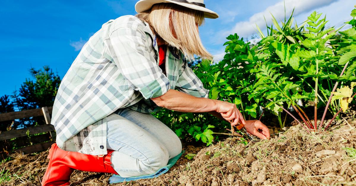 gardening kneeling