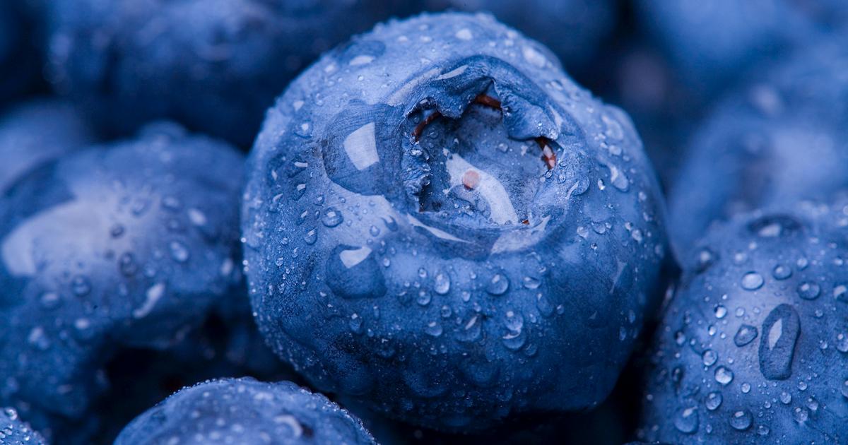 Dirty Dozen, Blueberries