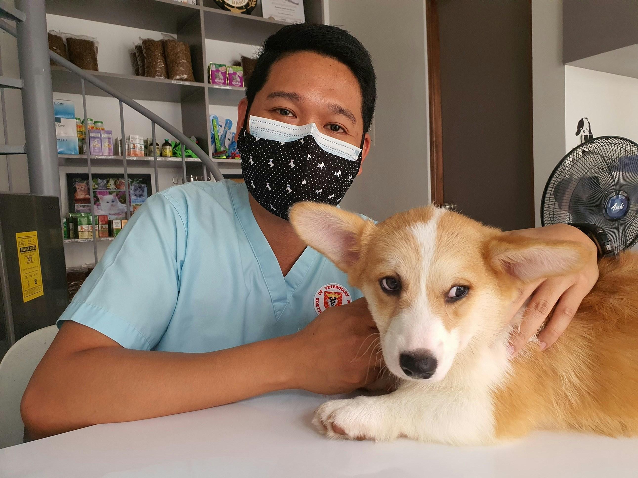 A veterinarian wearing a face mask sits next to a dog in a veterinary office.