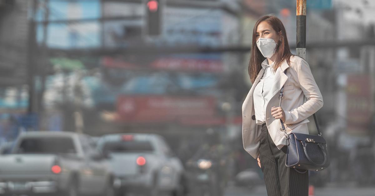 air pollution humans impact