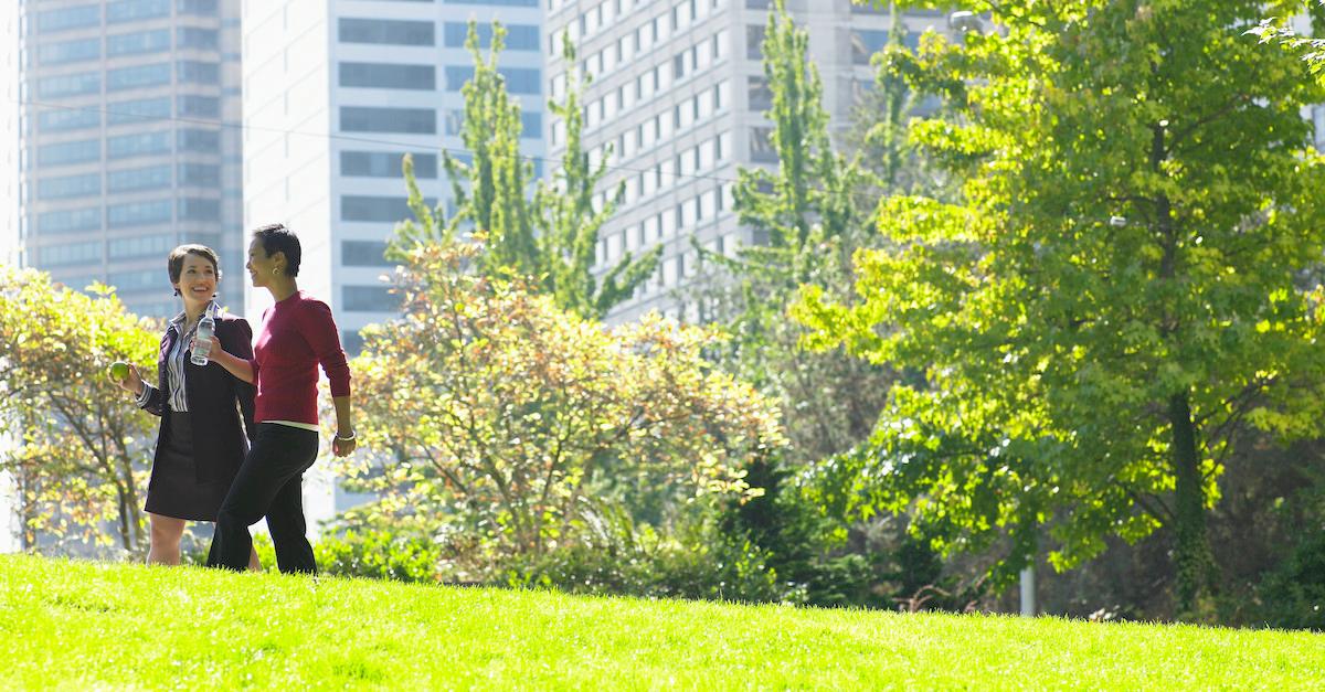 Urban Rewilding Examples What Is Urban Rewilding? Making Cities Greener Increases Biodiversity