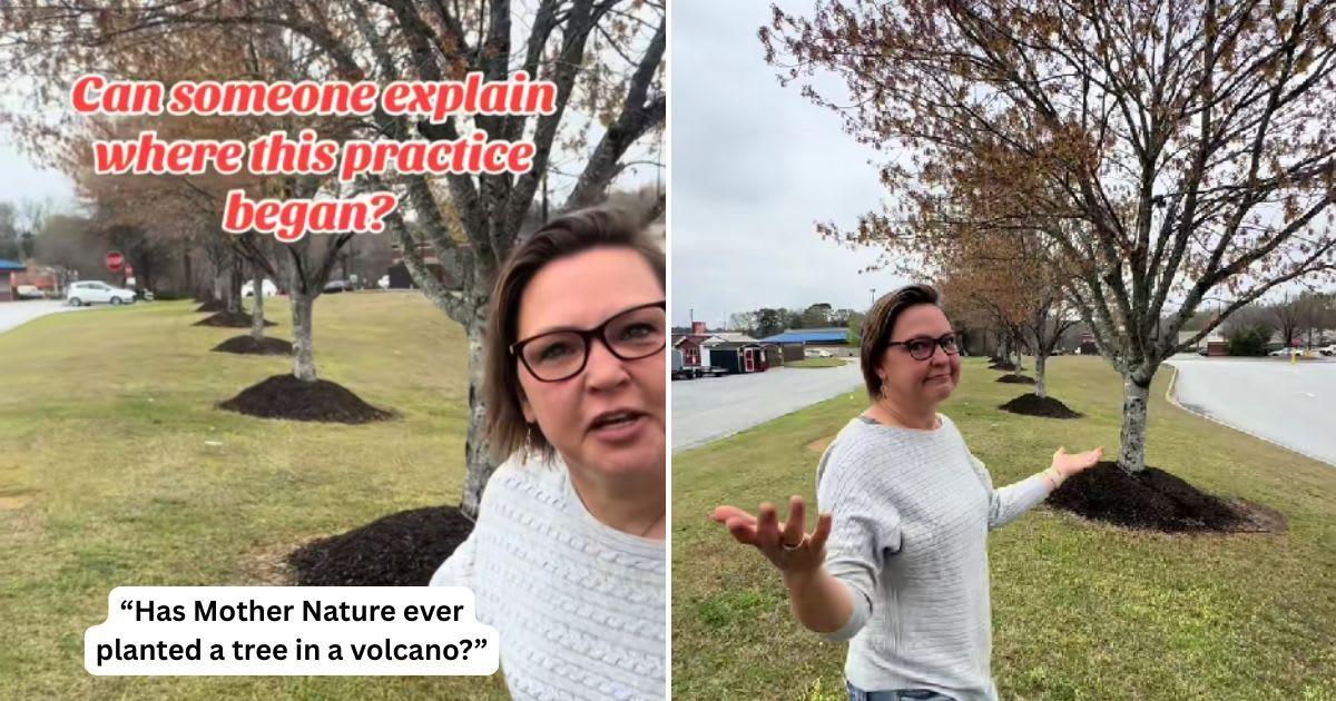 Arborist highlights problematic practice in tree gardening. (Cover Image Source: TikTok | @speakingfortrees)