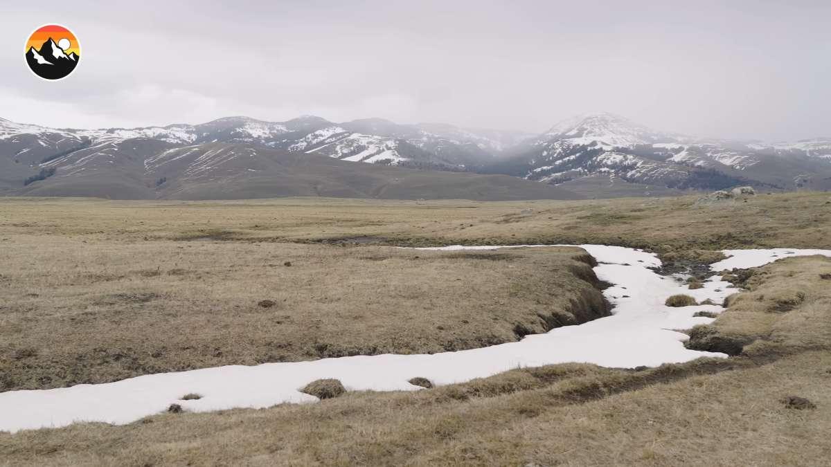 pn/bf a bc ba bdccfec