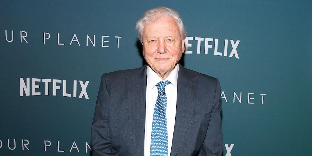 Sir David Attenborough in a suit on a red carpet, with a Netflix and 'Out Planet' backdrop