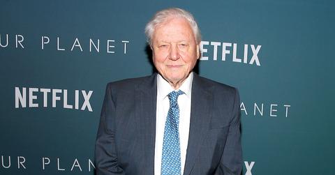 Sir David Attenborough in a suit on a red carpet, with a Netflix and 'Out Planet' backdrop