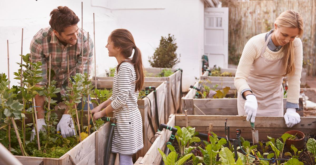 20-vegetable-garden-netting-ideas-to-try-this-year-sharonsable