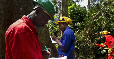 africa deforestation