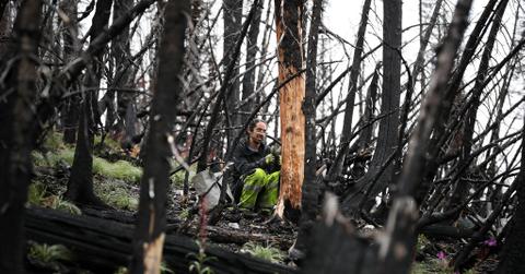 Microclimate in Glacier National Park