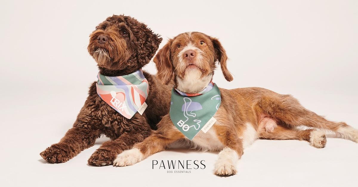 Two dogs wearing bandanas on white background, with Pawness logo