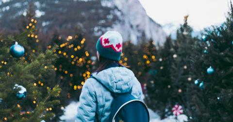 A woman is looking at Christmas lights at a national park (Representative Image Source: Getty Images | chinaface)