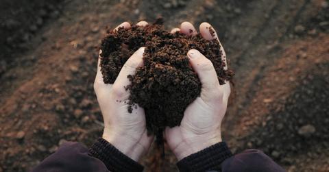 how to prepare soil for gardening