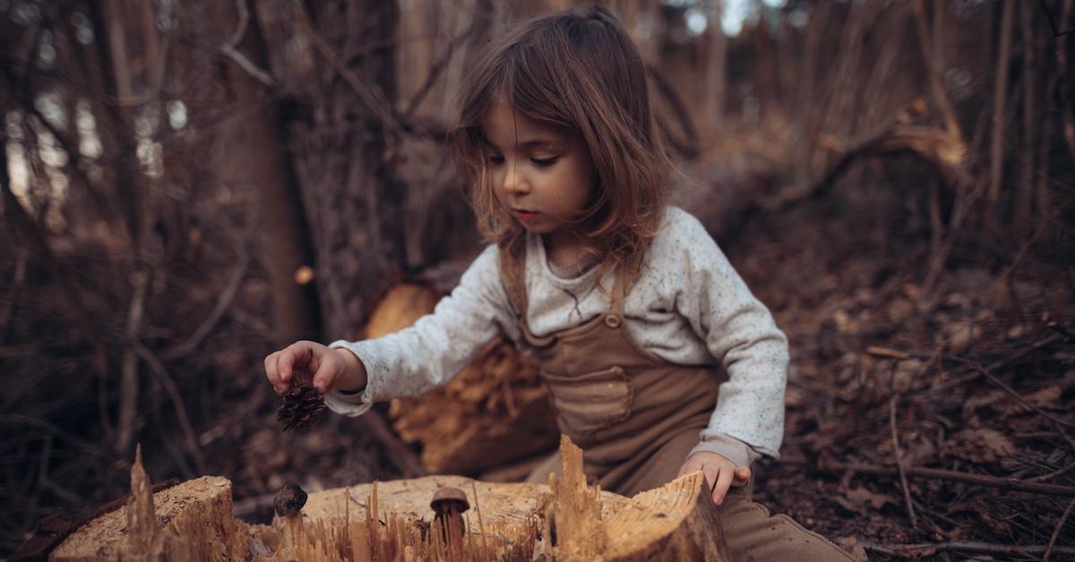 Little girl exploring nature outdoors in autumn forest