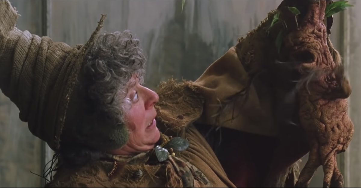 Professor Sprout