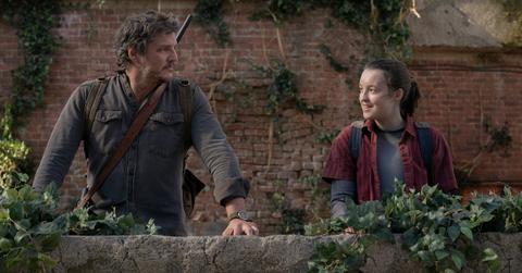 Pedro Pascal and Bella Ramsey, Cordyceps Health Benefits for Females