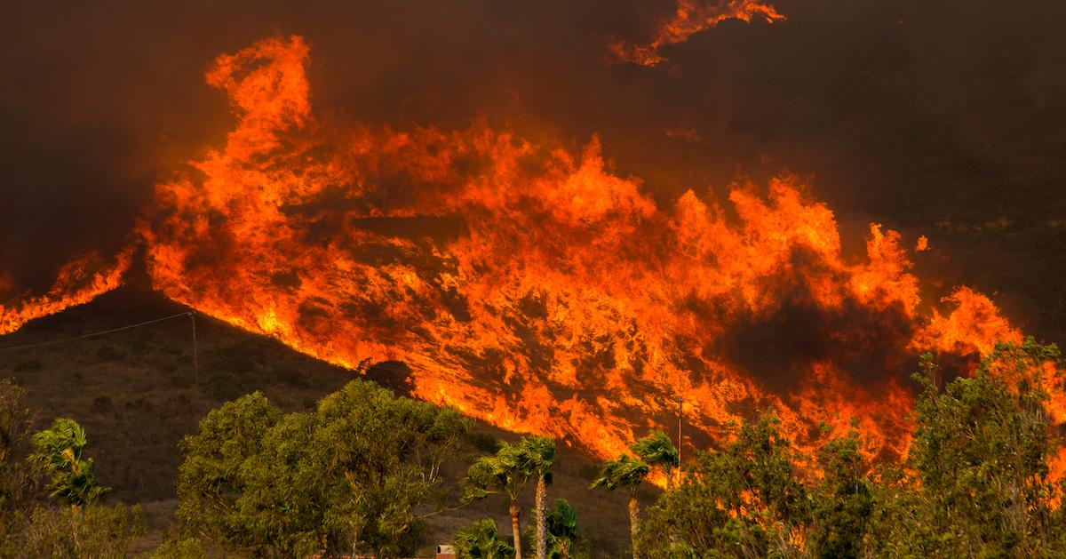 facts about wildfires