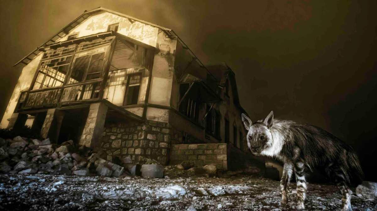 pn/feae abf df ac eccffb