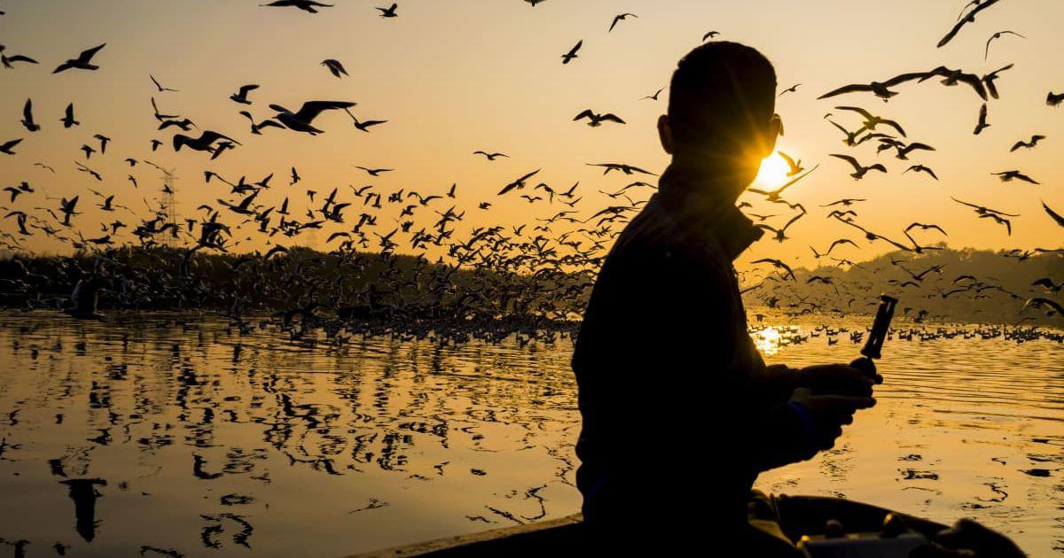 (L) A flock of birds migrating at sunset and a silhouette of a man watching them. (Representative Cover Image Source: Getty Images | EyeEm Mobile GmBH)