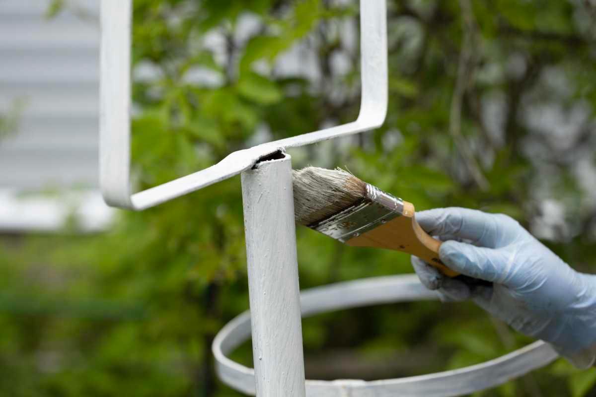 pn/aa efeb cf ac ddffd