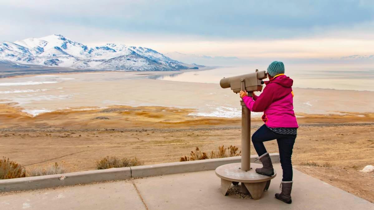 pn/fad ff fef be cabdc