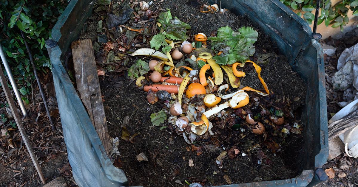 orange peels compost