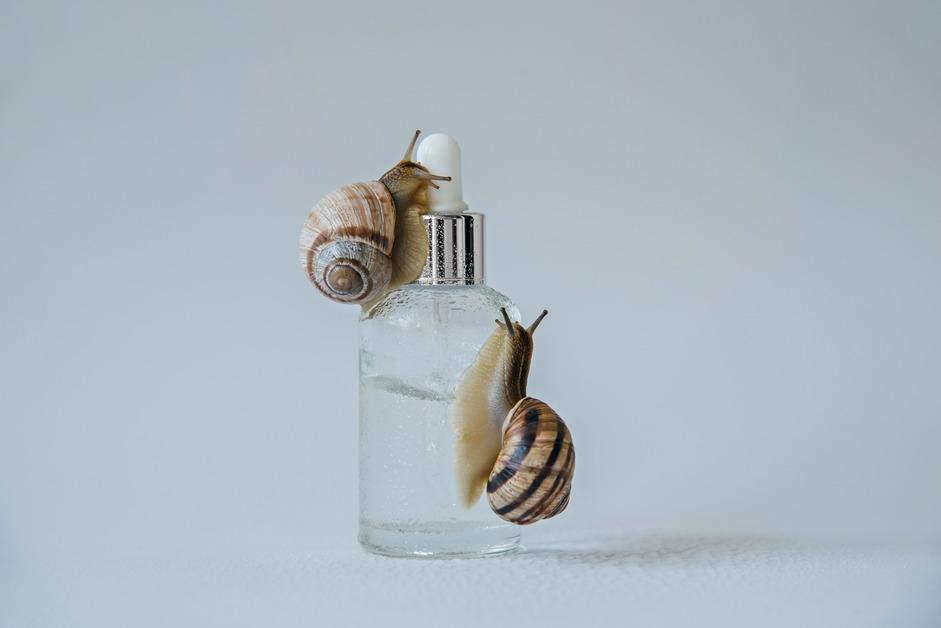 Two snails crawl on a glass bottle full of clear serum in front of a white background. 