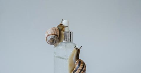 Two snails crawl on a glass bottle full of clear serum in front of a white background.
