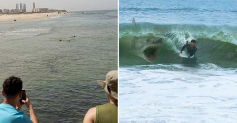 (L) Witnesses in Hadera capturing a shark attack, (R) White shark attacking a man (Representative Cover Image Source: Getty Images | (L) Amir Levy, (R) Shutterjack)