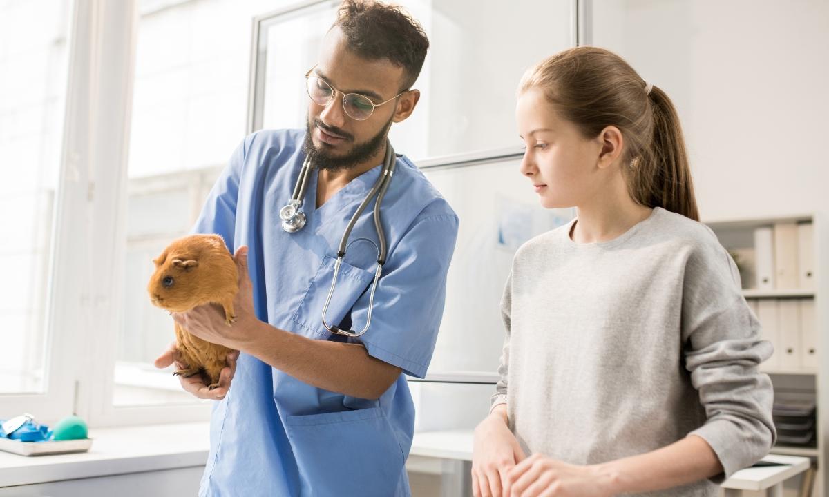 A veterinarian holds a guinea pig while a girl looks on. 