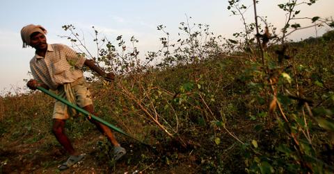 india farming protest