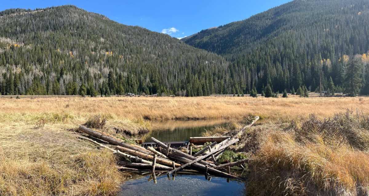 pn/ec fea c b dcffaba