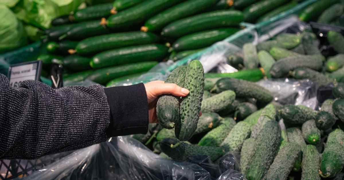 A person is picking up cucumbers in the market. (Representative Image Source: Freepik | PV Productions)