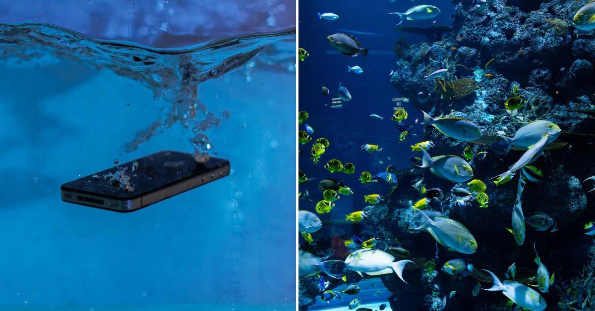 Woman Drops Her iPhone Into a Sinkhole — It Captured a Magical World ...