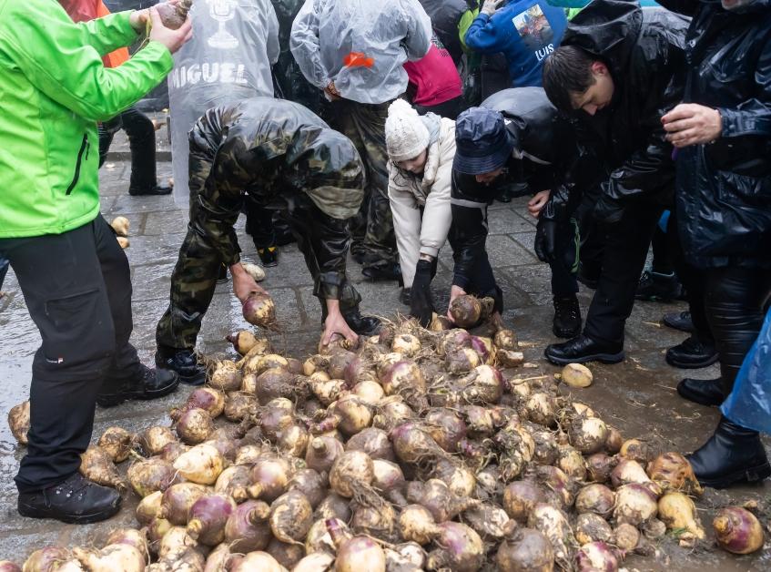 A crowd gathers around a pile of turnips to pick them up on the streets in Piornal, Spain, during Jarramplas Festival