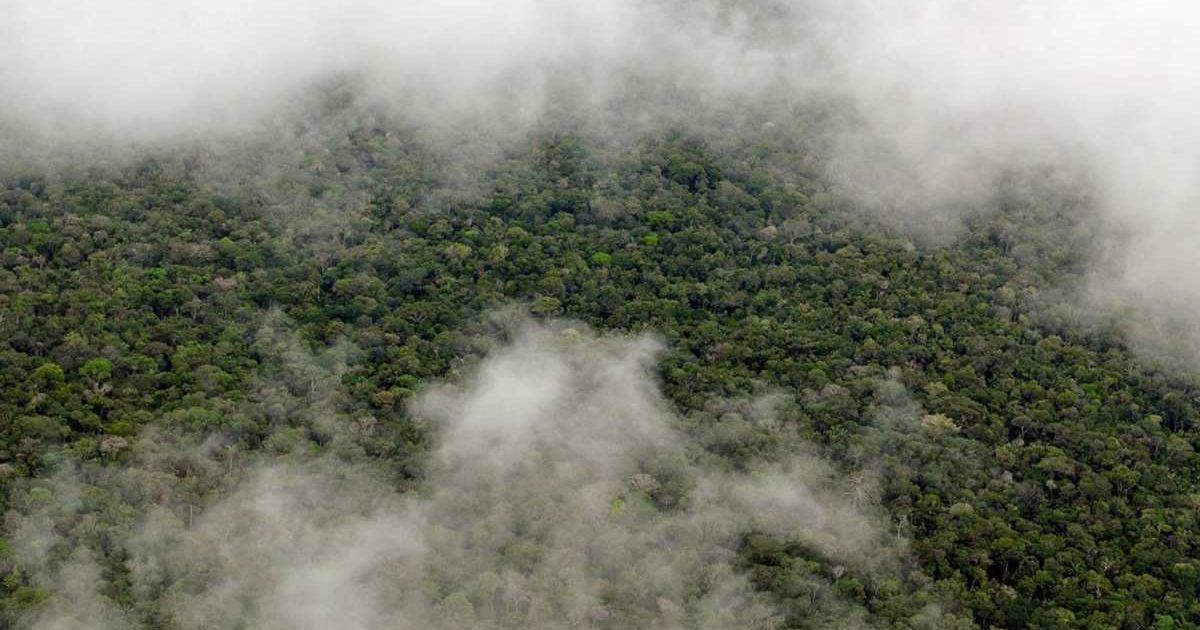 Misty haze of rain clouds hovering above the Amazon rainforest. (Cover Image Source: NASA/Center for International Forestry Research)