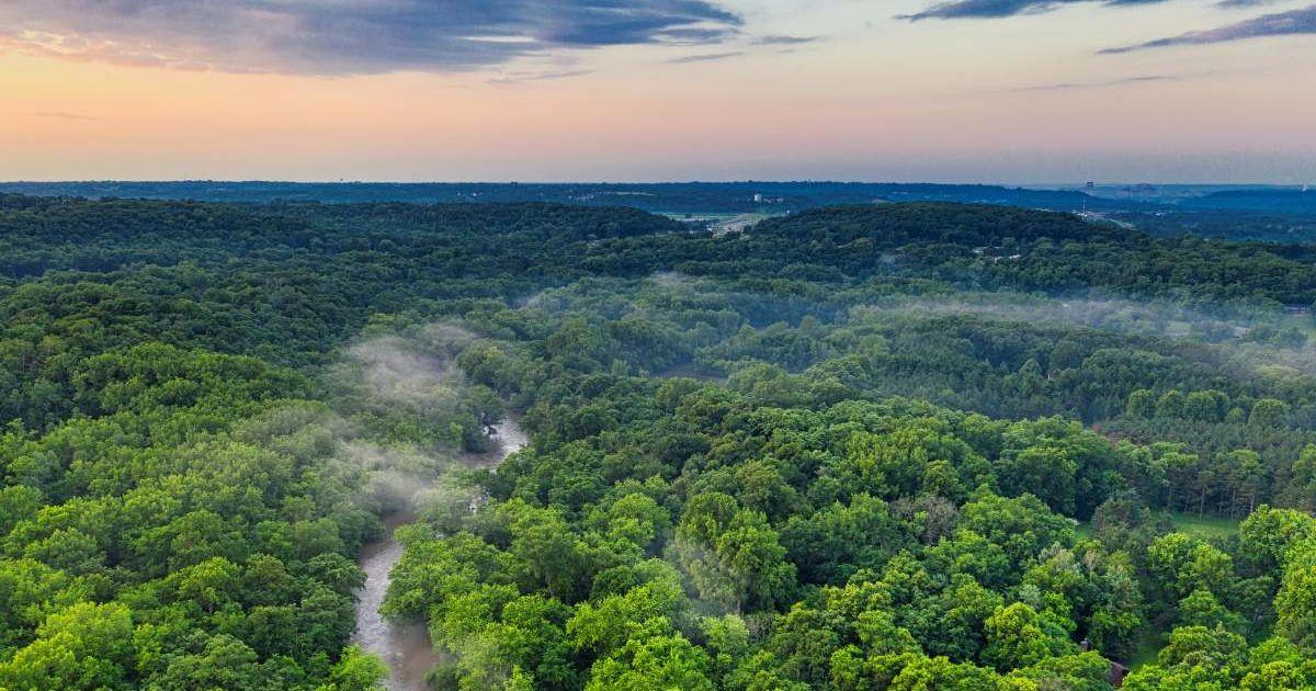 Amazon River flowing from between the trails of Amazon rainforest (Representative Image Source: Pexels | Tom Fisk)