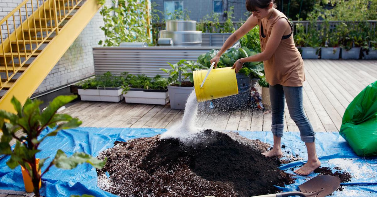 https://media.greenmatters.com/brand-img/pryeq7UWp/0x0/compost-city-1605632522459.jpg