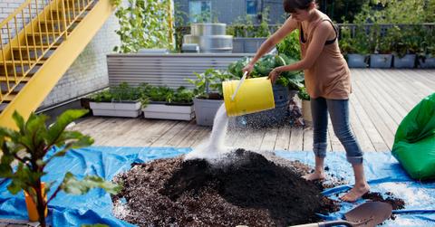 compost city