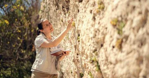 Archaeologist working on an ancient site. (Representative Cover Image Source: Getty Images | Daniel Balakov)