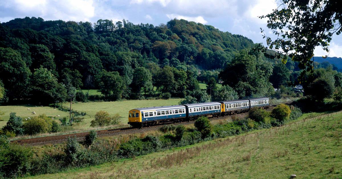 Wales Is Building A 5 9 Million National Forest