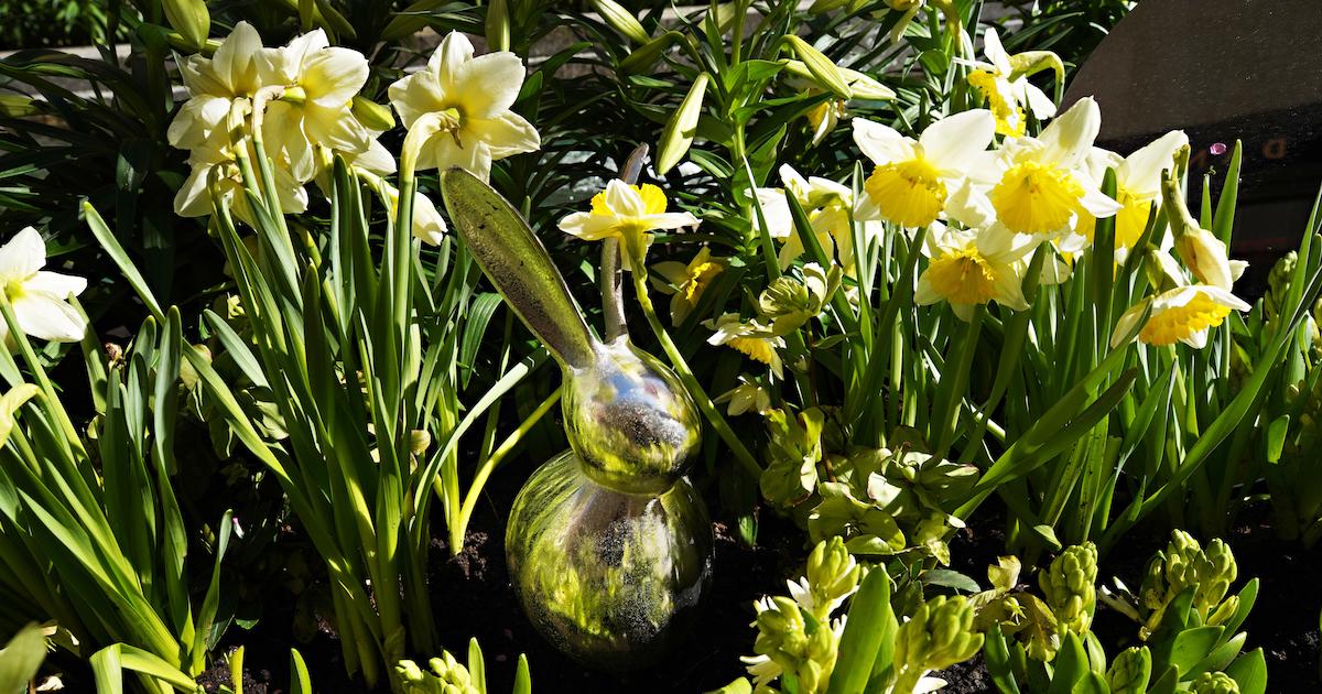 Why Are My Buds Not Opening? How to Help Your Flowers Bloom