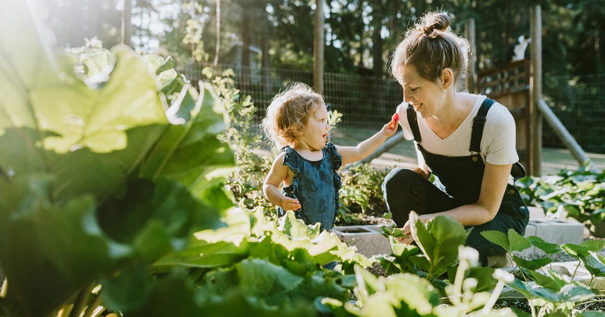 Learn How to Best Prepare a Vegetable Garden