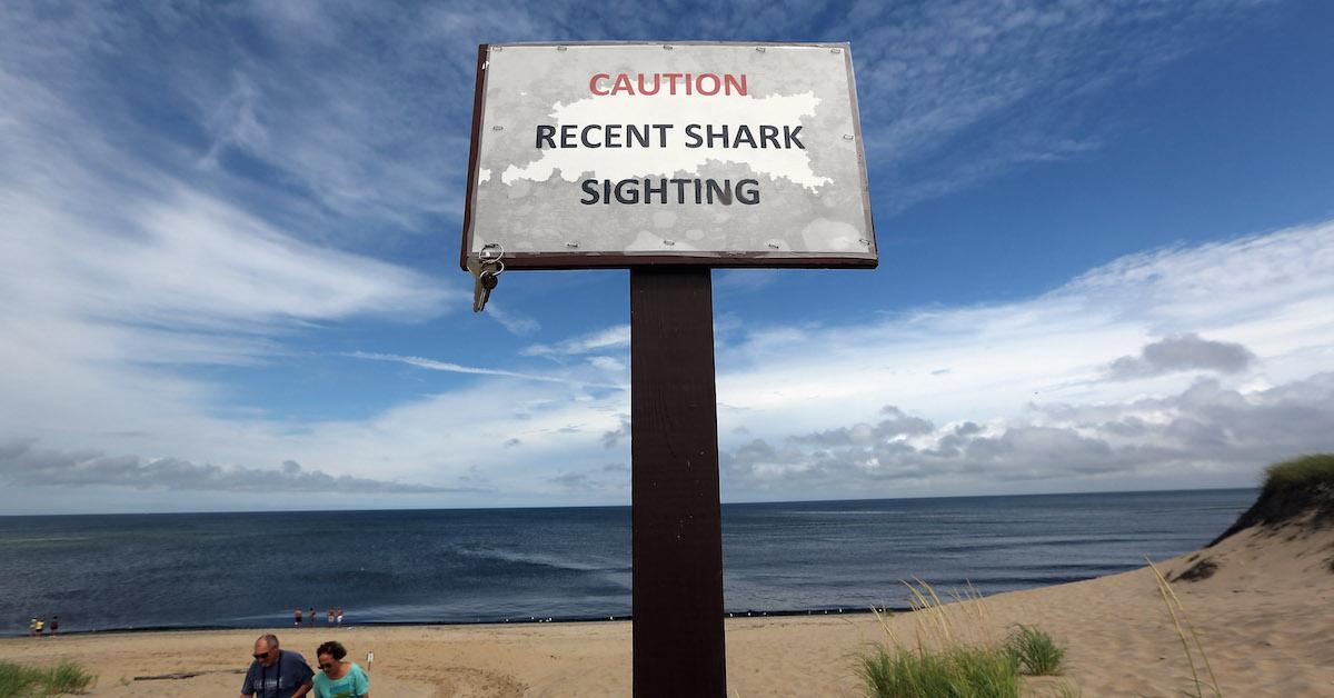 On a beach, a sign that reads "caution recent shark sighting."