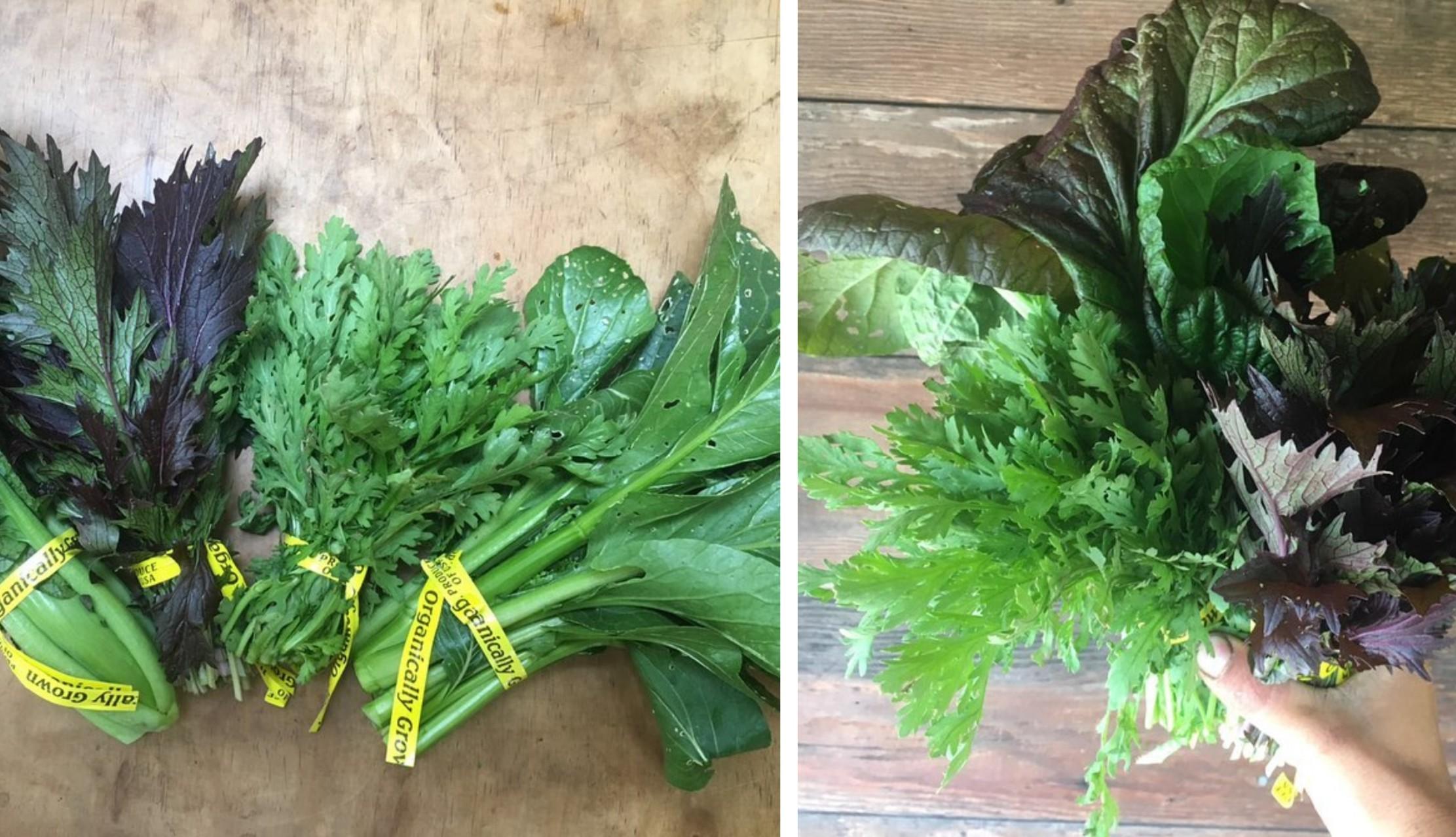 Bunches of tong ho are pictured from the Shao Shan Farm.