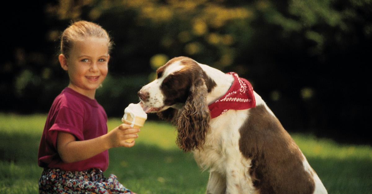 Dog Eating Ice Cream