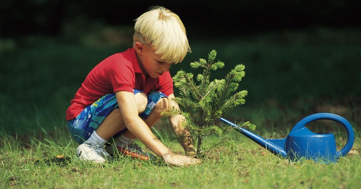 A child planting a tree.