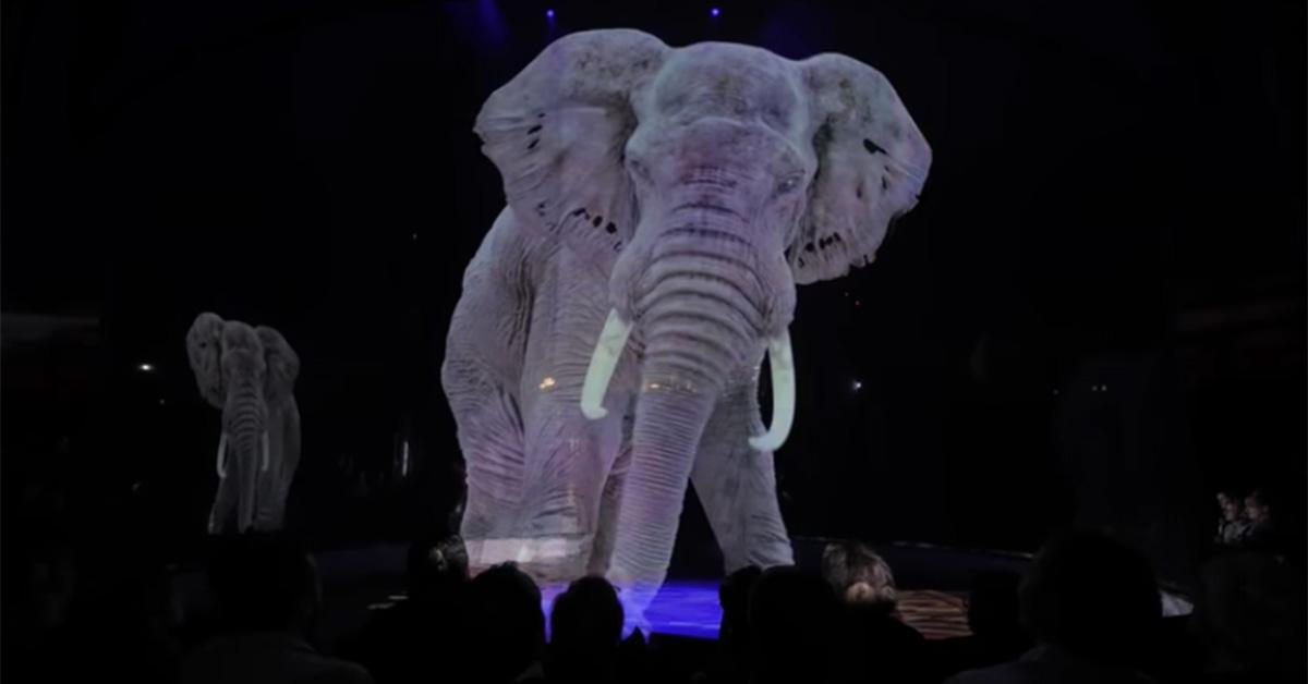 circus animal holograms