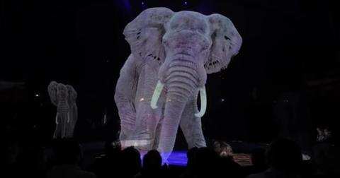 This Circus In Germany Is Using Holograms Instead of Real Animals