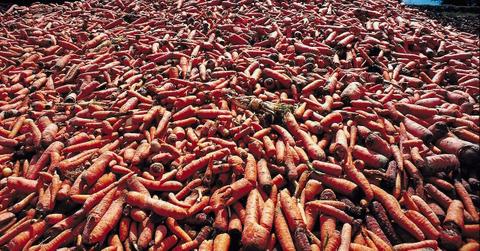 What Happens To Ugly Produce